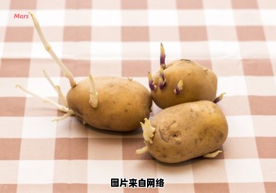 土豆发芽了一点点，还能吃吗？