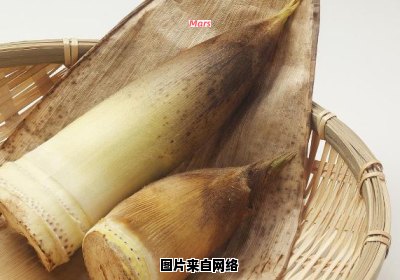 如何制作美味可口的鲜嫩竹笋
