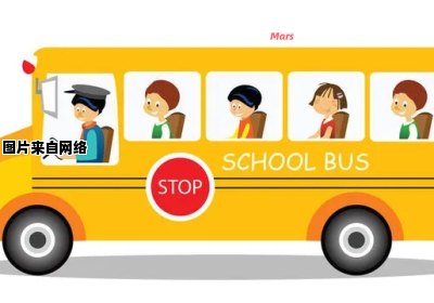 为何学生乘坐校车时没有安全带？