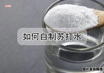 如何制作自家苏打水？