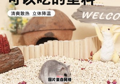 仓鼠的替代木屑材料是什么？