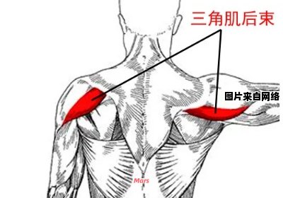 锻炼三角肌的家庭练习方法