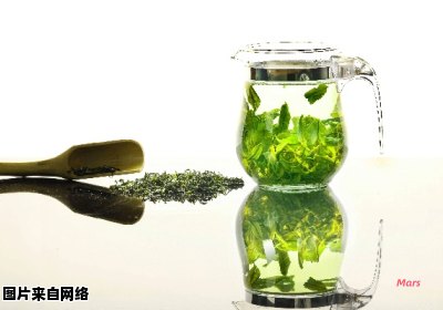 如何正确泡制绿茶