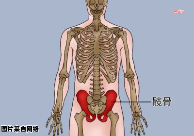 腰胯酸痛需要就诊哪个科室