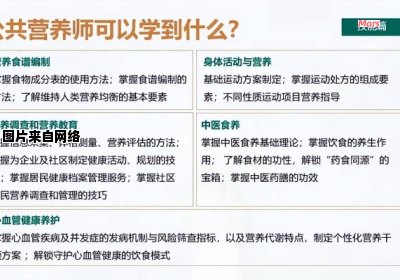 如何将浏览器模式从兼容模式切换至极速模式