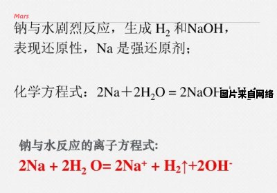 乙酸与钠发生化学反应的离子方程式