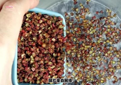 花椒泡水的适宜饮用频率是多久一次？