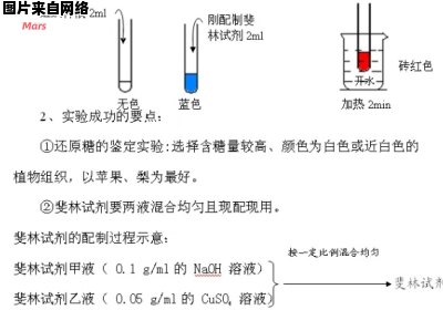 斐林试剂的应用领域和鉴别对象是什么？