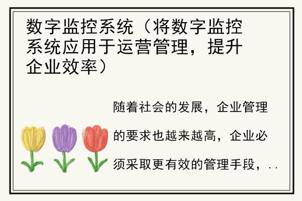 数字监控系统（将数字监控系统应用于运营管理，提升企业效率）.jpg