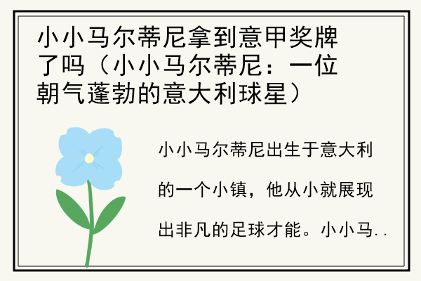 小小马尔蒂尼拿到意甲奖牌了吗（小小马尔蒂尼：一位朝气蓬勃的意大利球星）.jpg