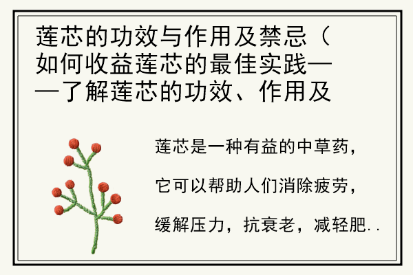 莲芯的功效与作用及禁忌（如何收益莲芯的最佳实践——了解莲芯的功效、作用及禁忌）.jpg