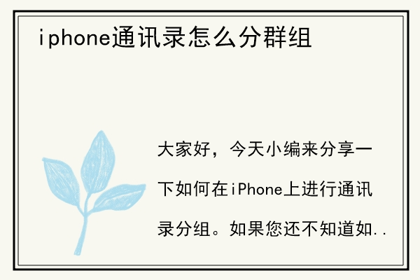 iphone通讯录怎么分群组.jpg