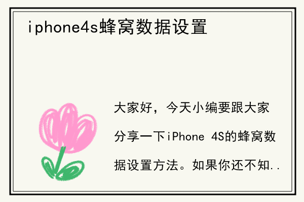 iphone4s蜂窝数据设置.jpg