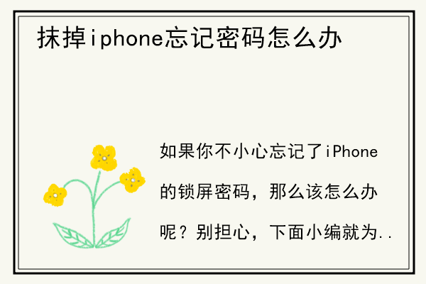 抹掉iphone忘记密码怎么办.jpg