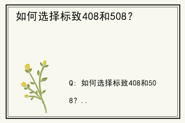 如何选择标致408和508？.jpg