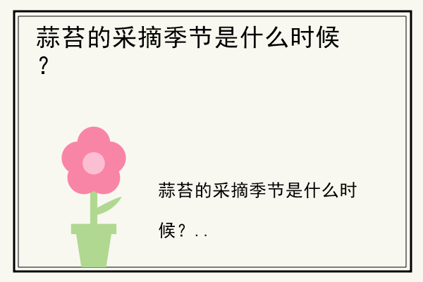 蒜苔的采摘季节是什么时候？.jpg