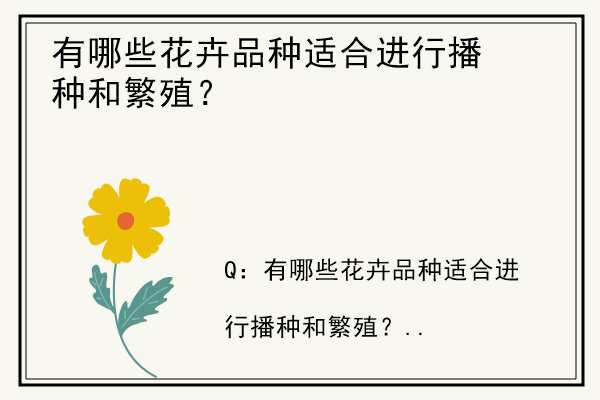 有哪些花卉品种适合进行播种和繁殖？.jpg