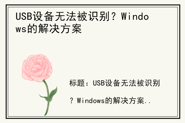 USB设备无法被识别？Windows的解决方案.jpg