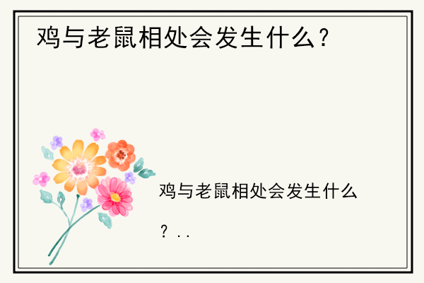 鸡与老鼠相处会发生什么？.jpg